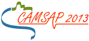 2013 5th IEEE International Workshop on Computational Advances in Multi-Sensor Adaptive Processing (CAMSAP) CAMSAP 2013